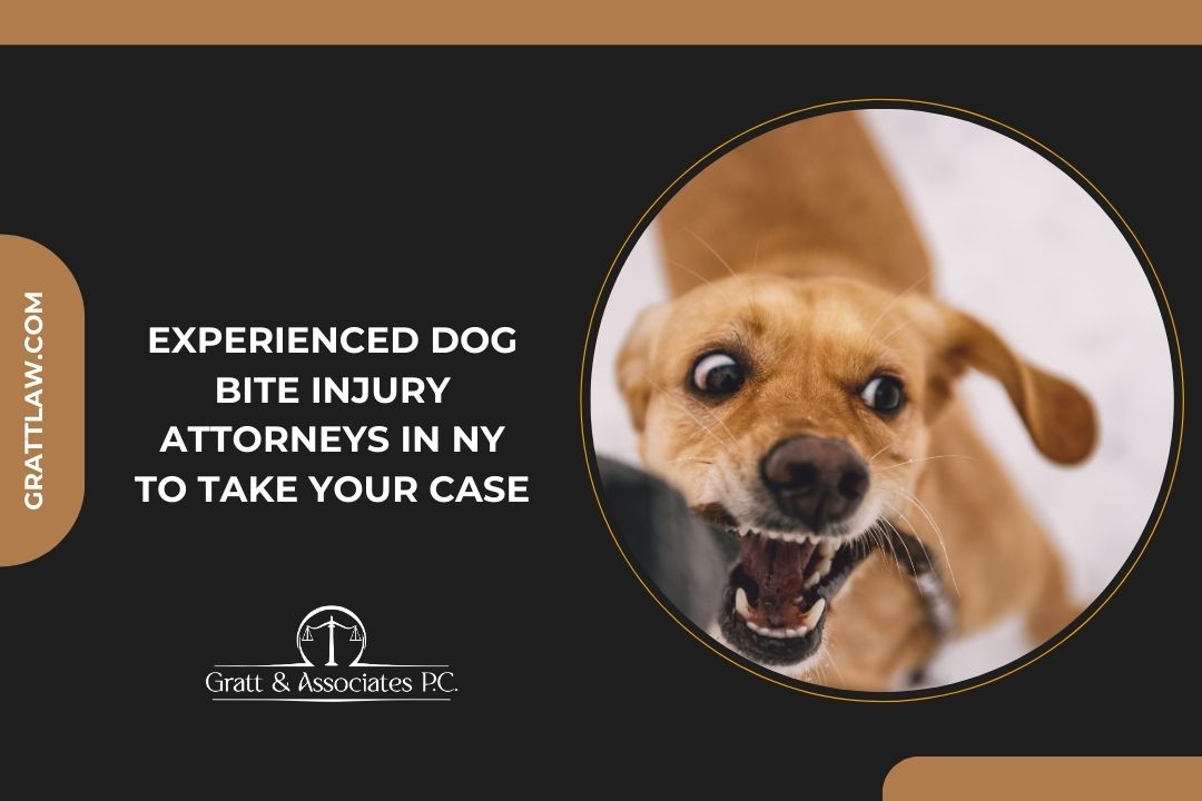Experienced Dog Bite Injury Attorneys in NY to Take Your Case